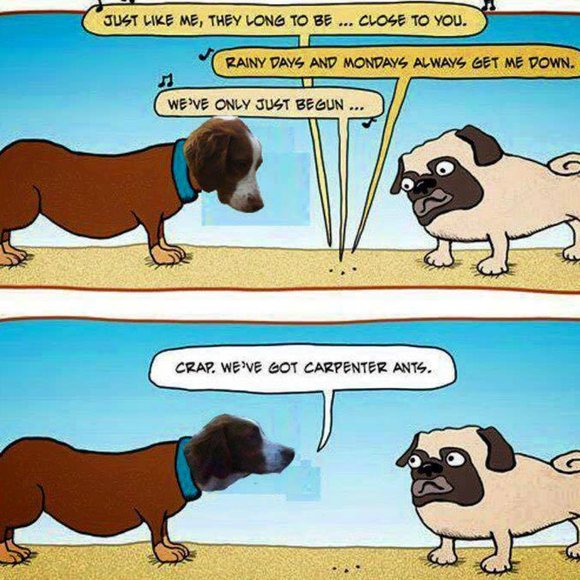 JUST FOR FUN PART 2 - Picture 7 of 12